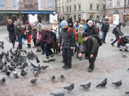 wycieczka_kl_va_krakow_10