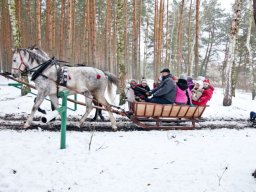 kulig_kl_3_b_10