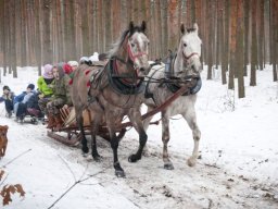 kulig_kl_3_b_11