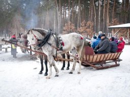 kulig_kl_3_b_13