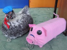 skarbonki_gory_grosza_10