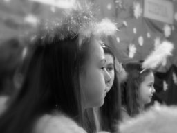 dsc_1633.nef