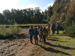 wycieczka_do_lasu_2a_3d_04