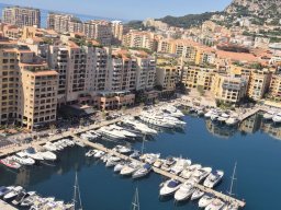 zielona_szk_4
