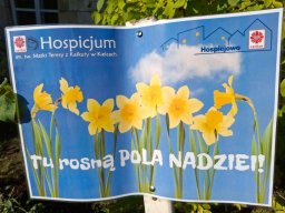 Pola nadziei!