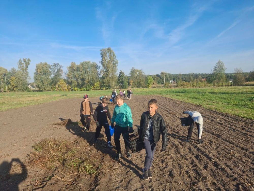 Wykopki klasy 4c – integracja, tradycja i wspólna zabawa!